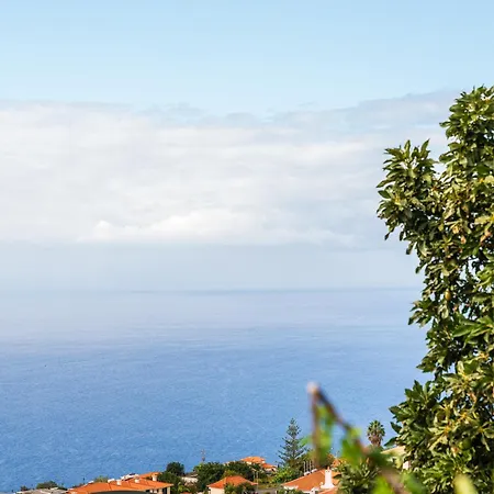 Casa Estrela Dos Reis * Estreito Da Calheta