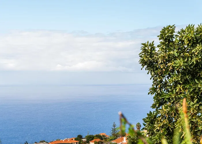 Casa Estrela Dos Reis * Estreito Da Calheta